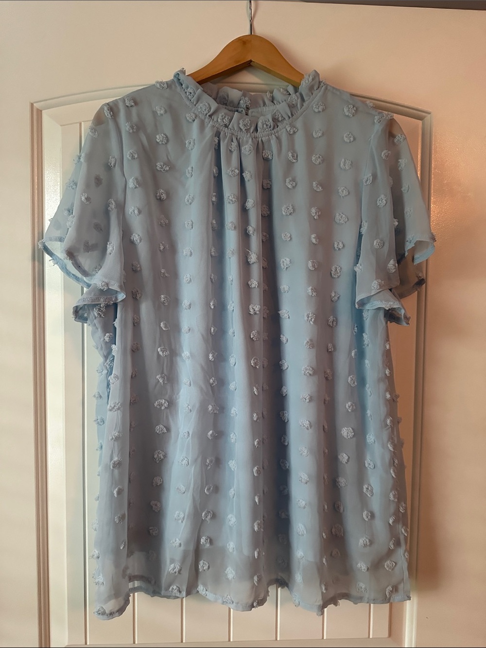 Light Blue Textured Chiffon Blouse
